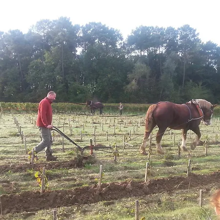 Gæstehus Domaine De Malleprat
